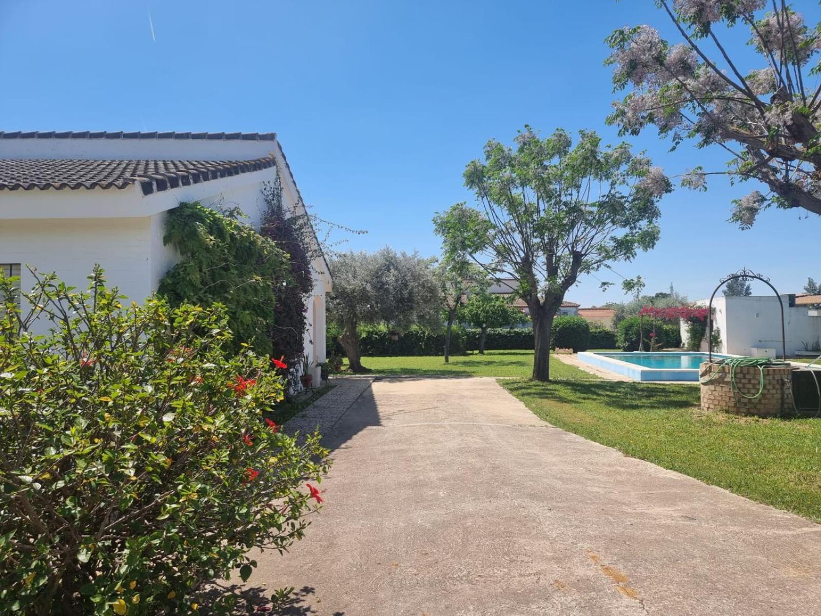 Casa En El Campo Cerca De Sevilla La Rinconada Exterior foto