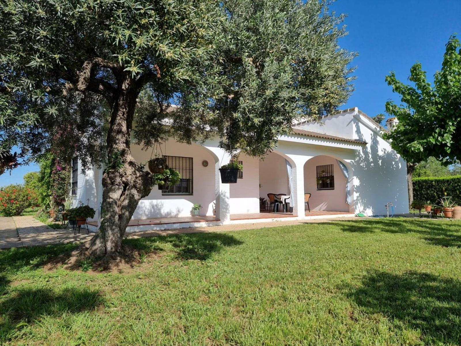 Casa En El Campo Cerca De Sevilla La Rinconada Exterior foto