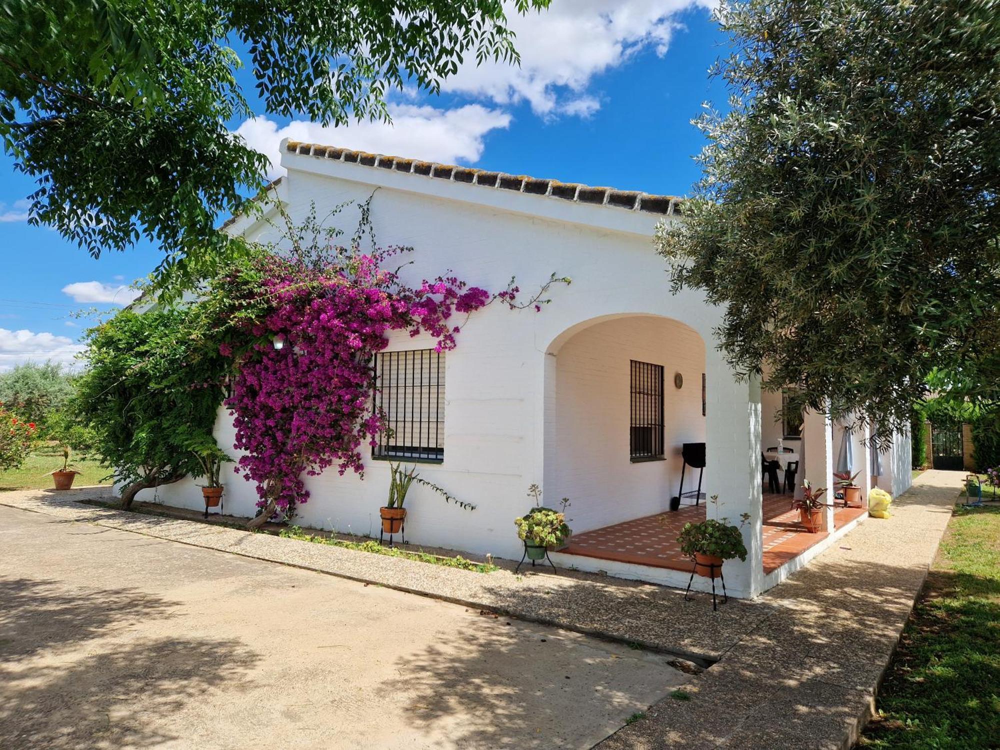 Casa En El Campo Cerca De Sevilla La Rinconada Exterior foto
